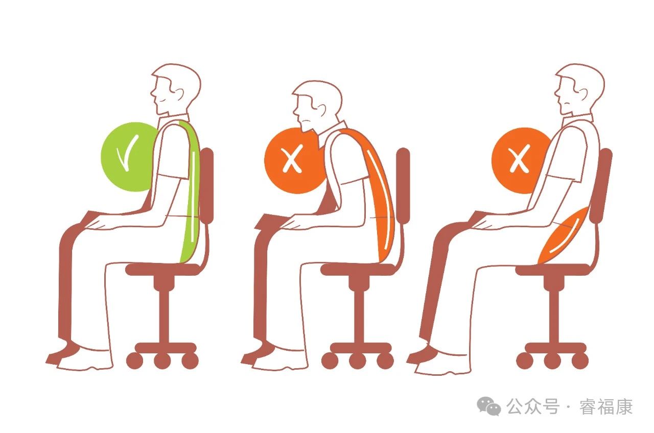 2坐姿.jpg
